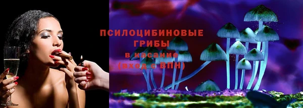 крисы Магас