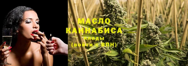 крисы Магас