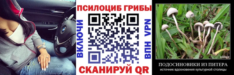 Псилоцибиновые грибы Cubensis  Миллерово 