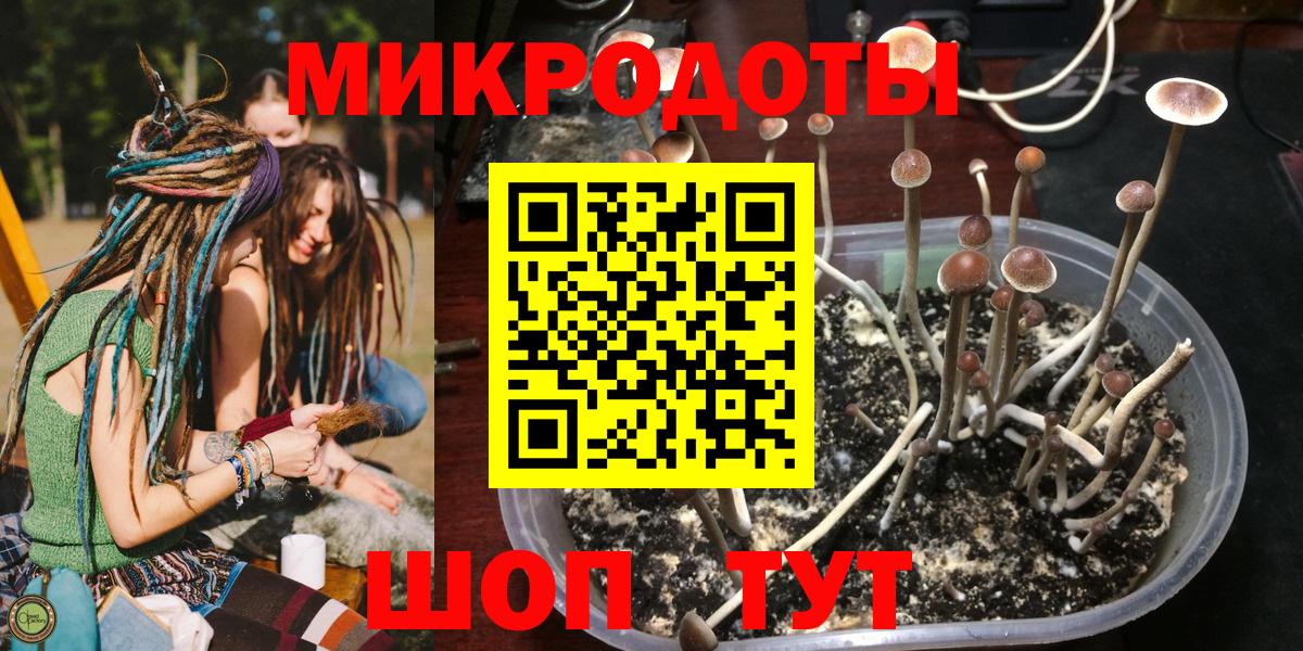 Галлюциногенные грибы ЛСД  Псилоцибиновые грибы Magic Shrooms  Миллерово  дарнет шоп  Вход с VPN 