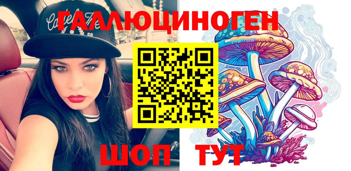 Галлюциногенные грибы Psilocybine cubensis Миллерово
